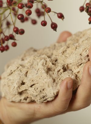 freimuth_092_20x30_15x21